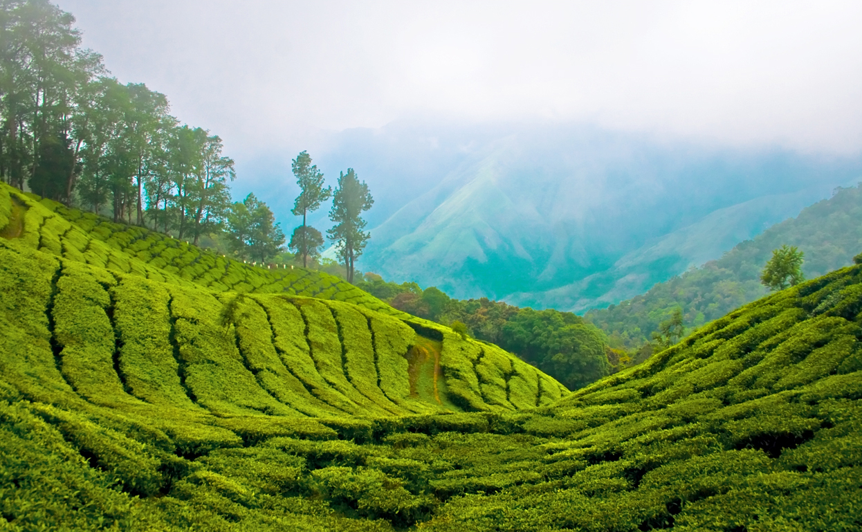 munnar